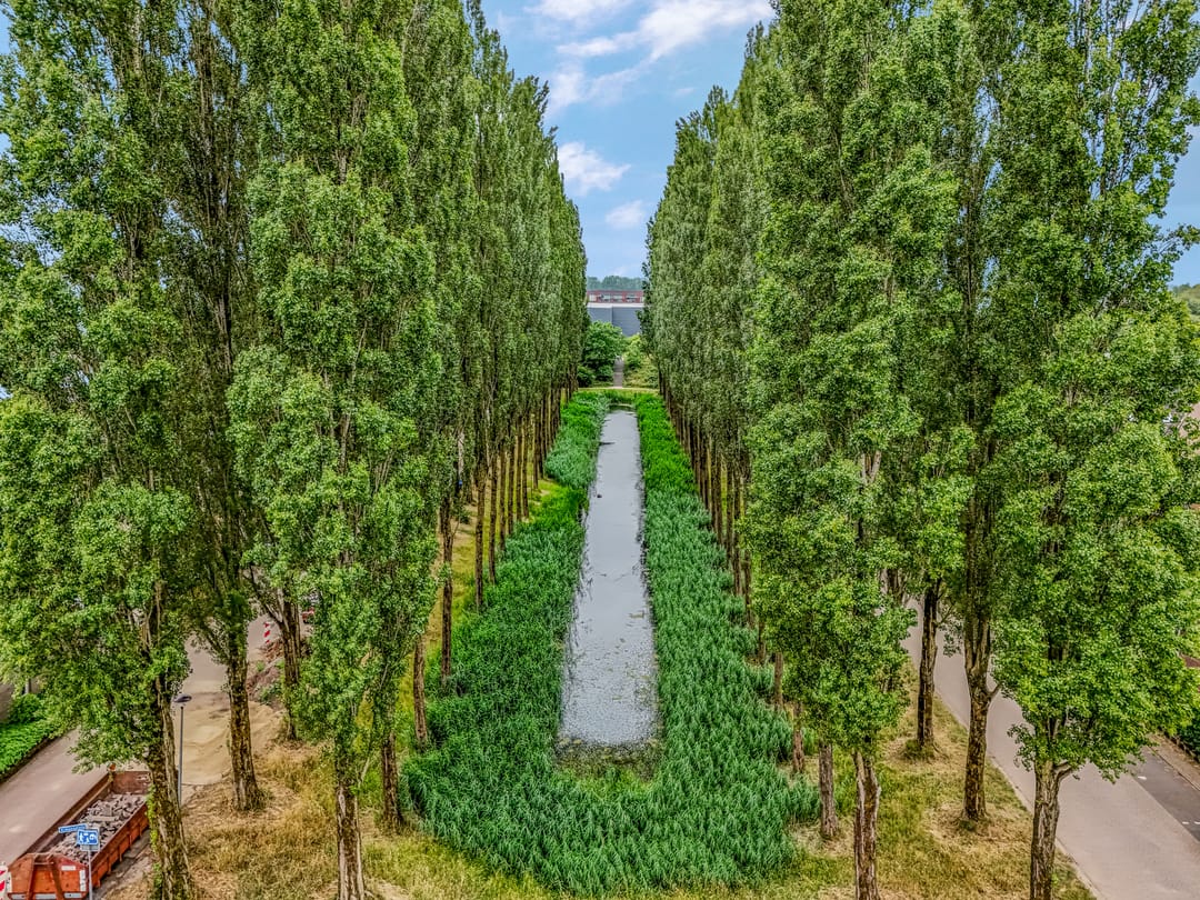 Foto 28 van Erasmusstate 46