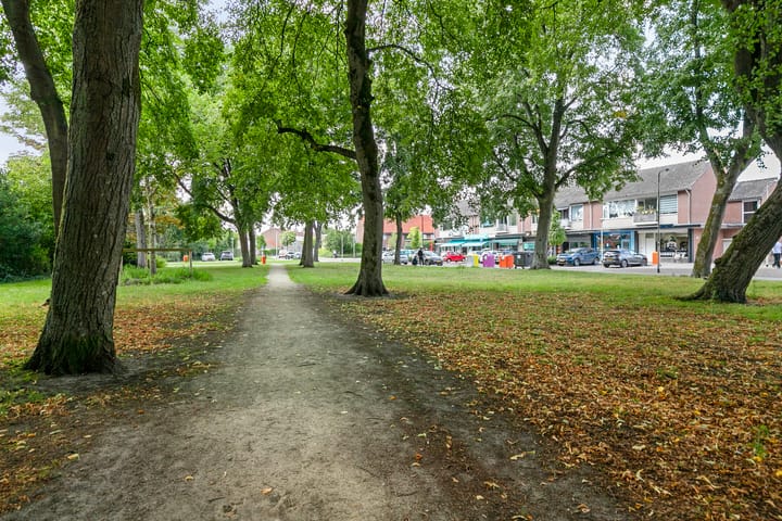 Foto 55 van Doctor Schaepmanlaan 33