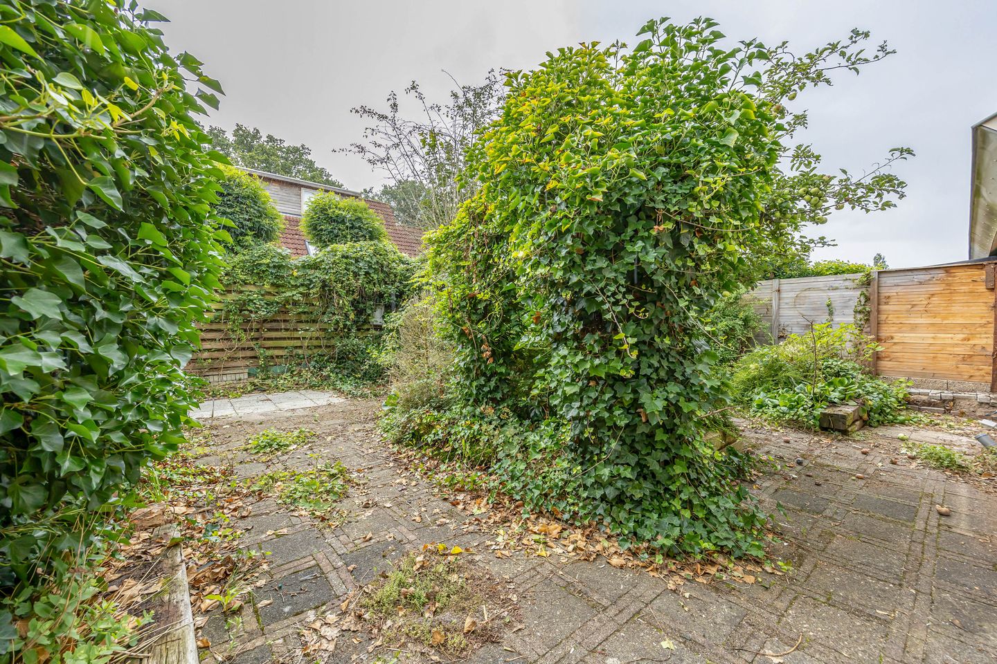 Foto 4 van de Hilde 46