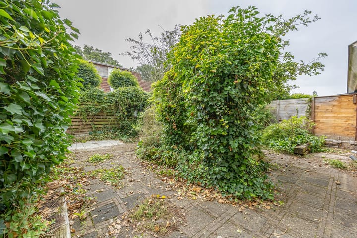 Foto 4 van de Hilde 46