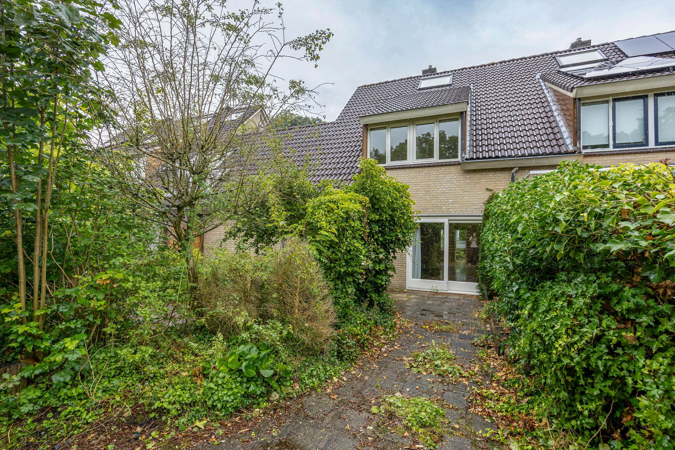 Foto 6 van de Hilde 46