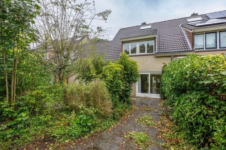 Foto 6 van de Hilde 46