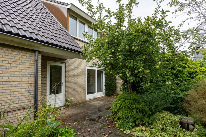 Foto 11 van de Hilde 46