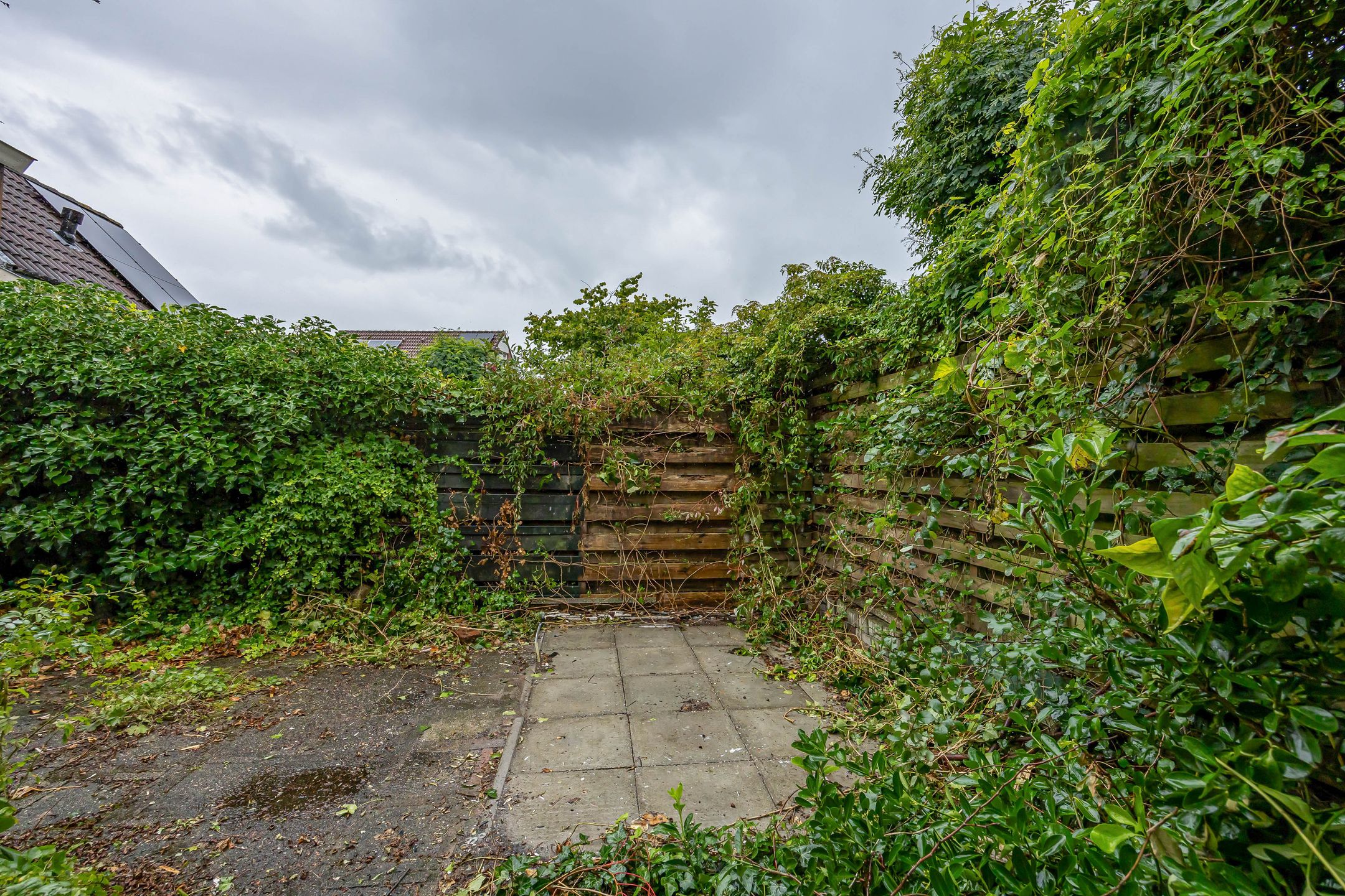 Foto 12 van de Hilde 46