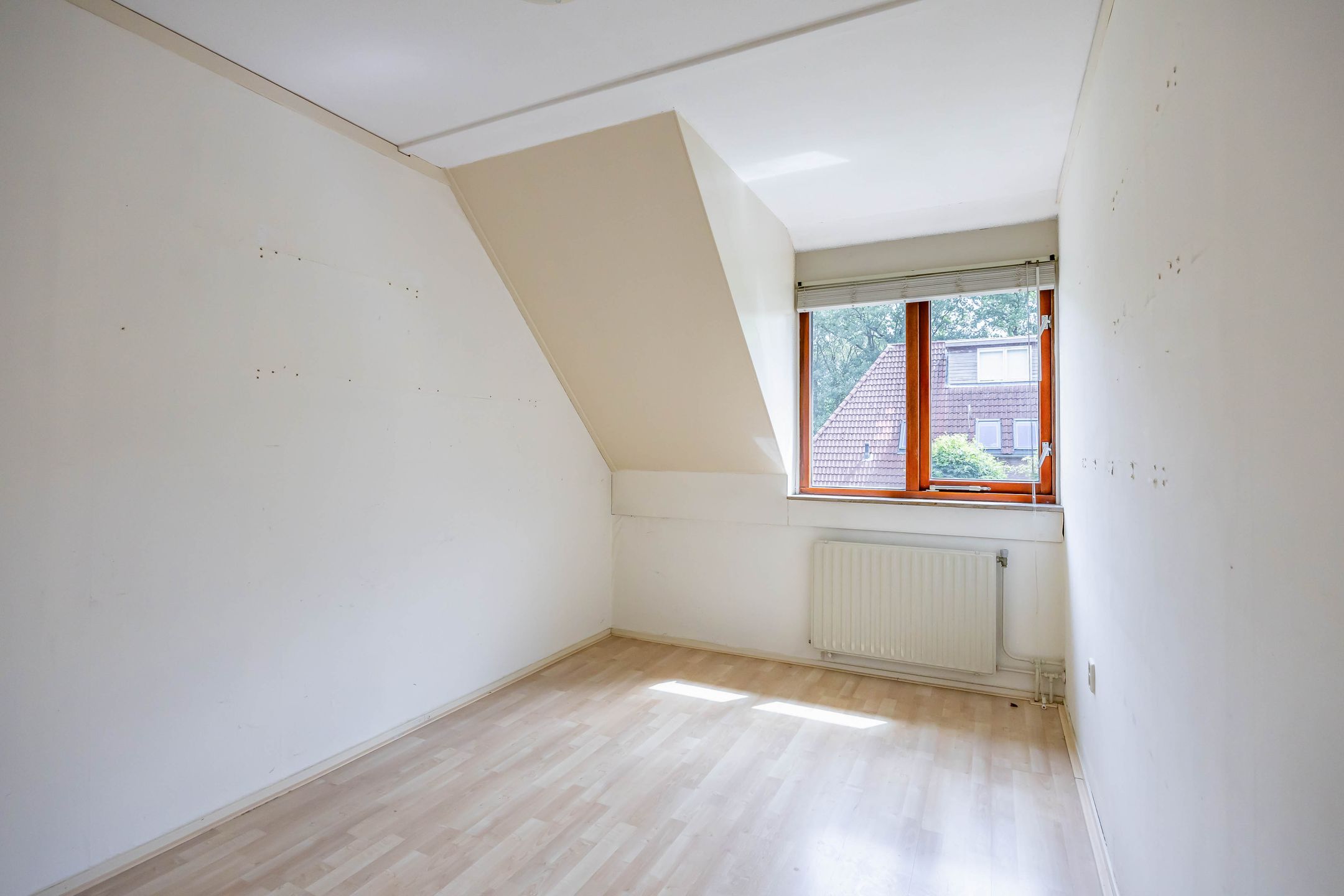 Foto 24 van de Hilde 46