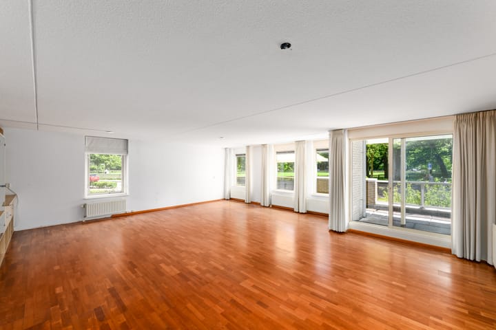 Photo 5 of Bellevue 5