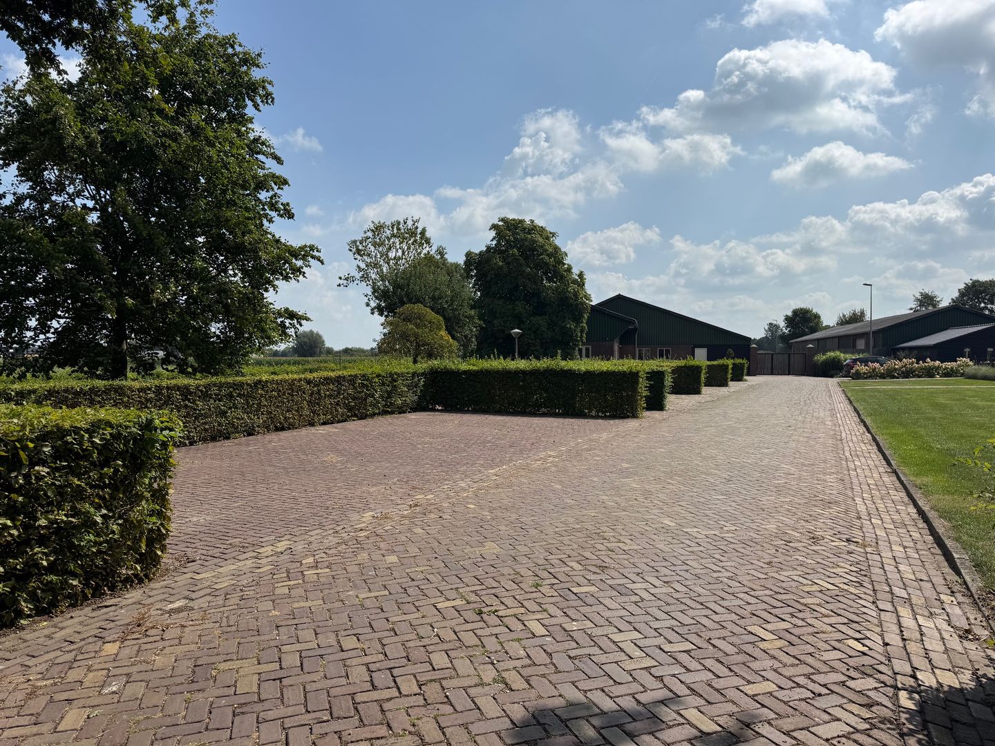 Bekijk foto 3 van De Beers 1