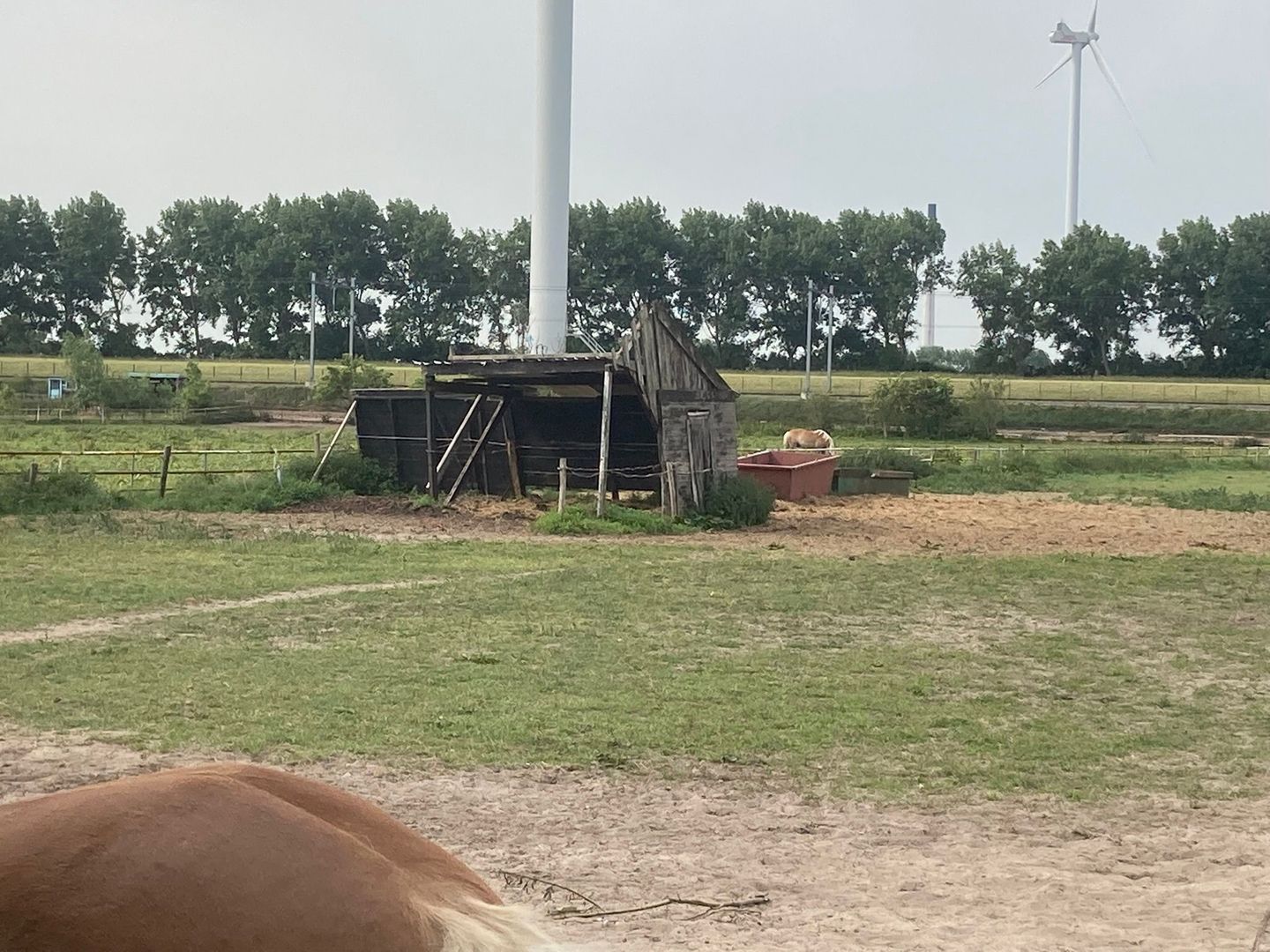 Bekijk foto 2 van Polderhaakweg 29