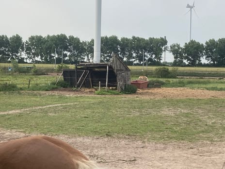 Bekijk foto's