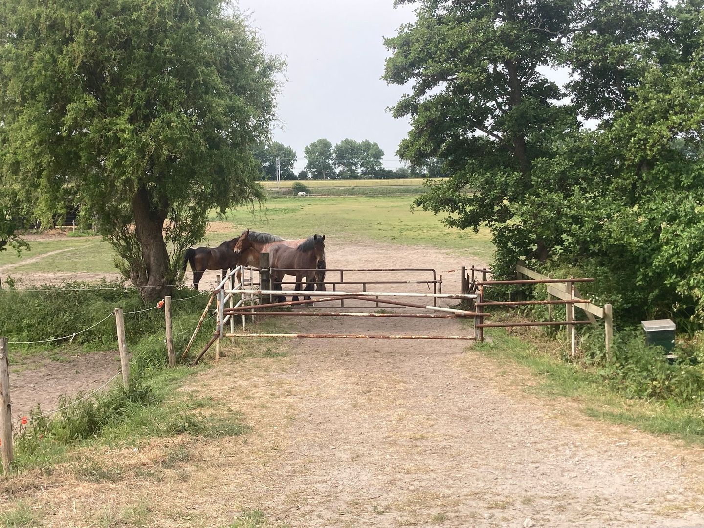 Bekijk foto 1 van Polderhaakweg 29