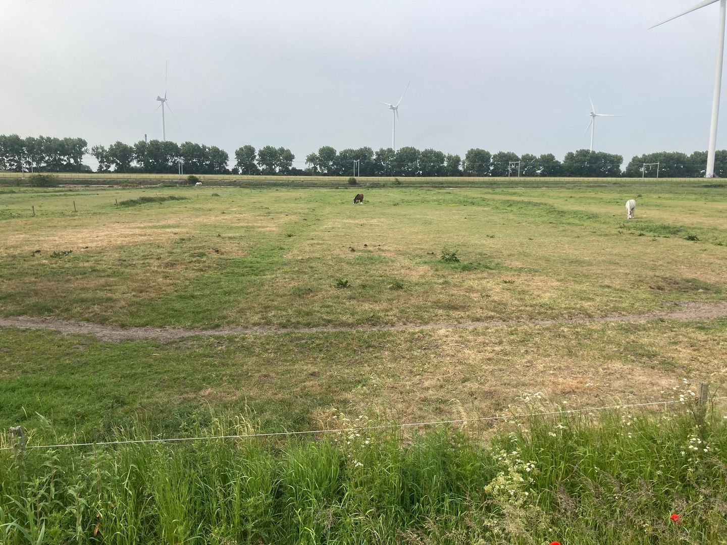 Bekijk foto 4 van Polderhaakweg 29