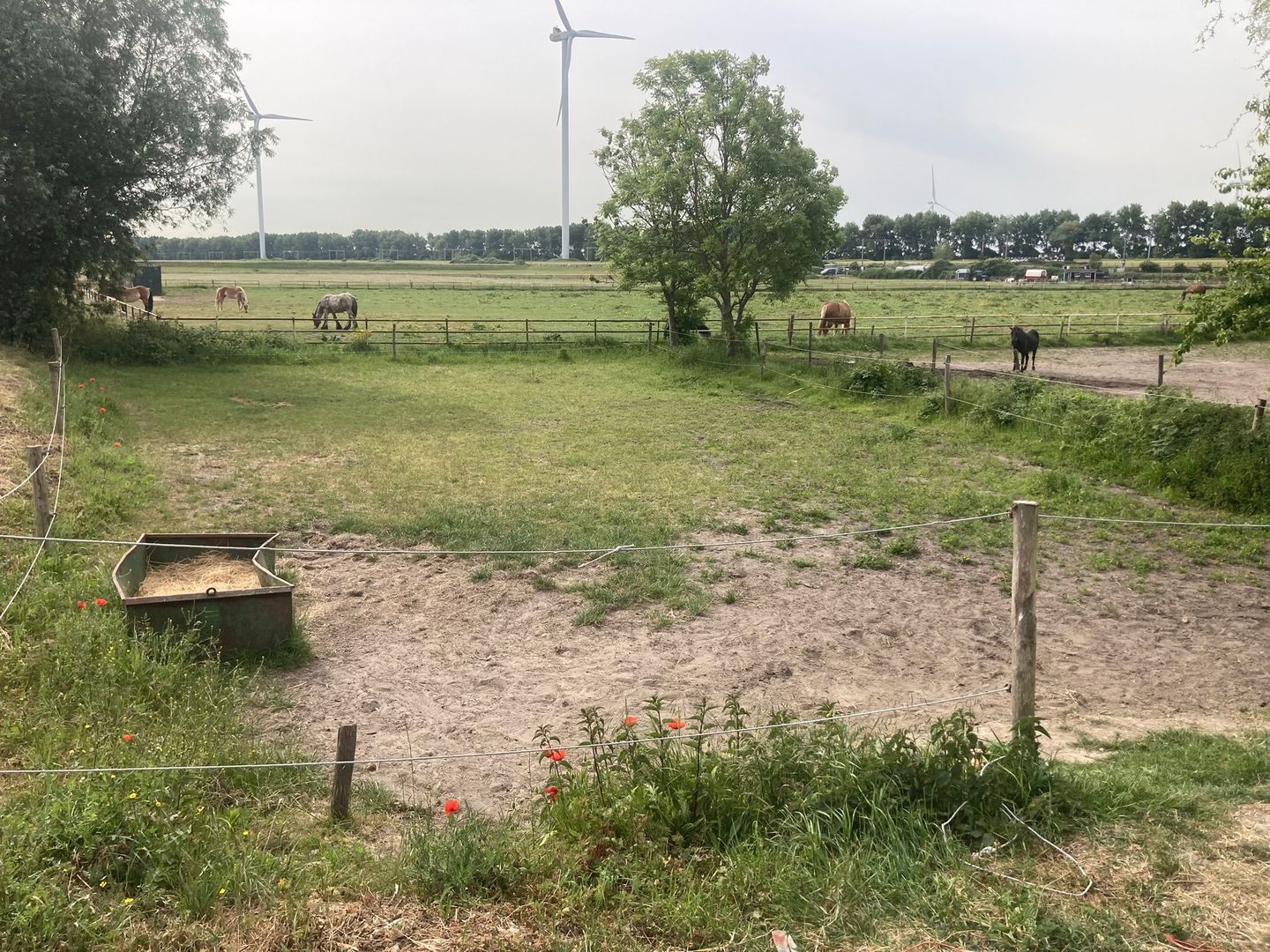 Bekijk foto 3 van Polderhaakweg 29