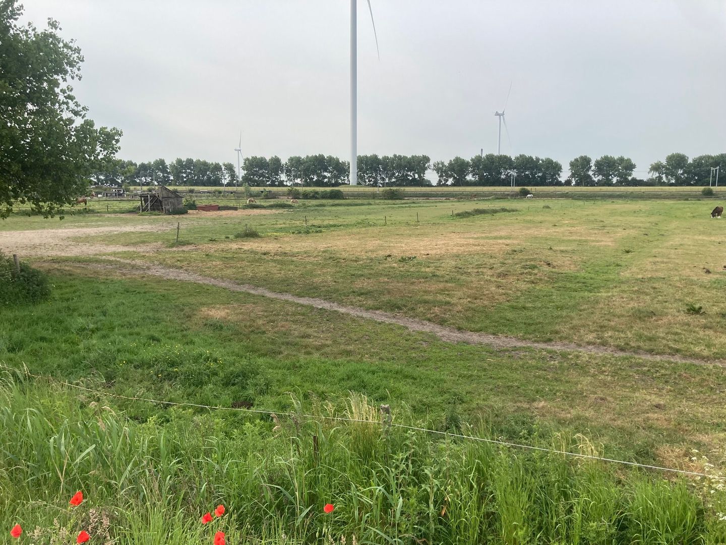 Bekijk foto 5 van Polderhaakweg 29