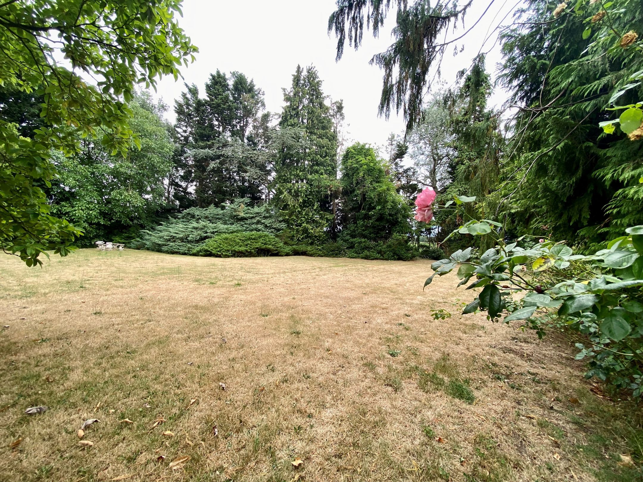 Foto 6 van Groeneweg 8