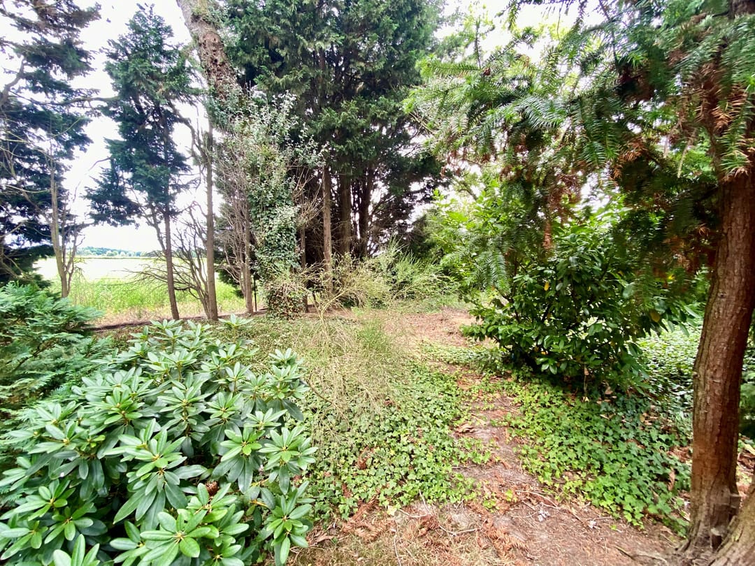 Foto 13 van Groeneweg 8