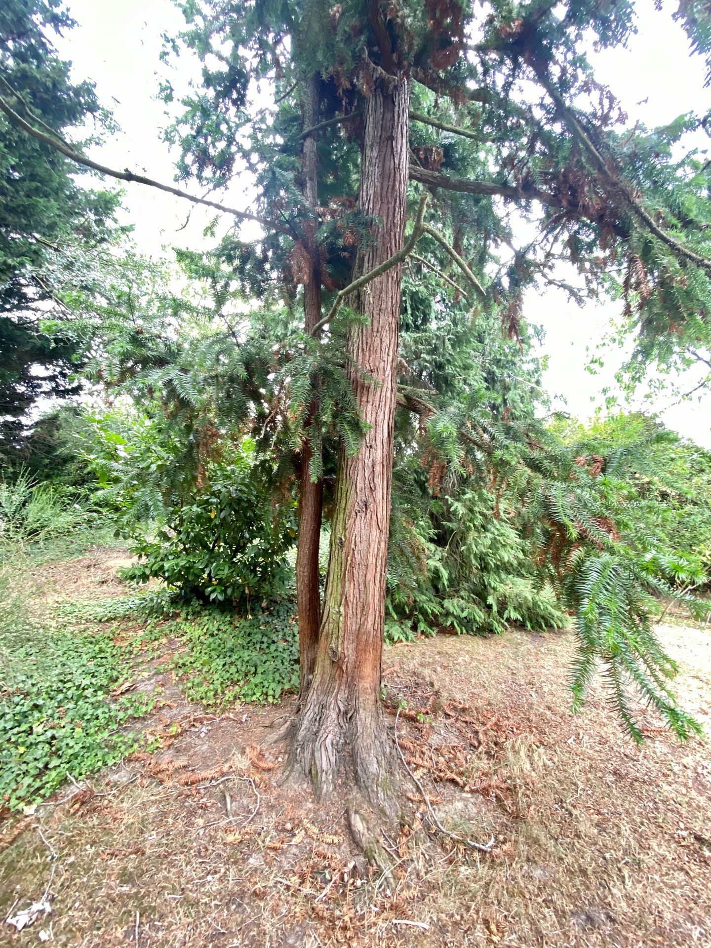 Foto 14 van Groeneweg 8