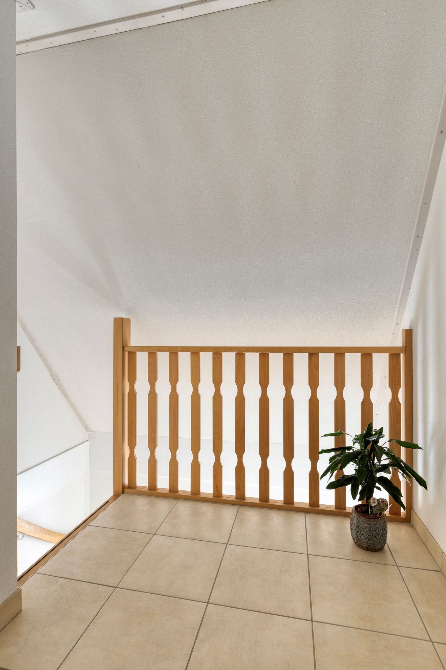 Photo 44 of de Jongestraat 4