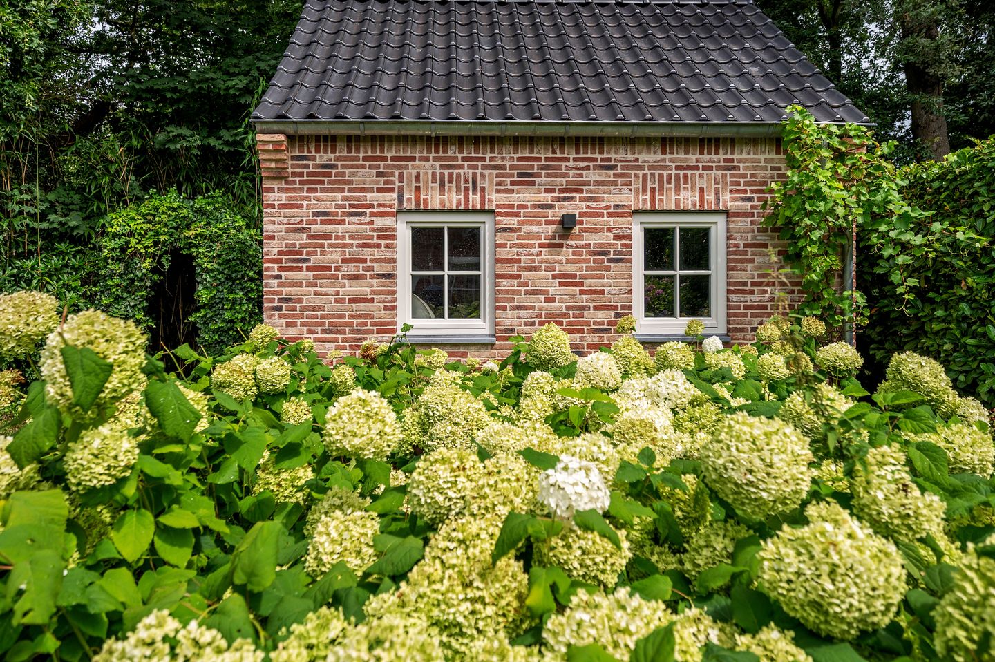 Foto 49 van Patrijzenpad 17