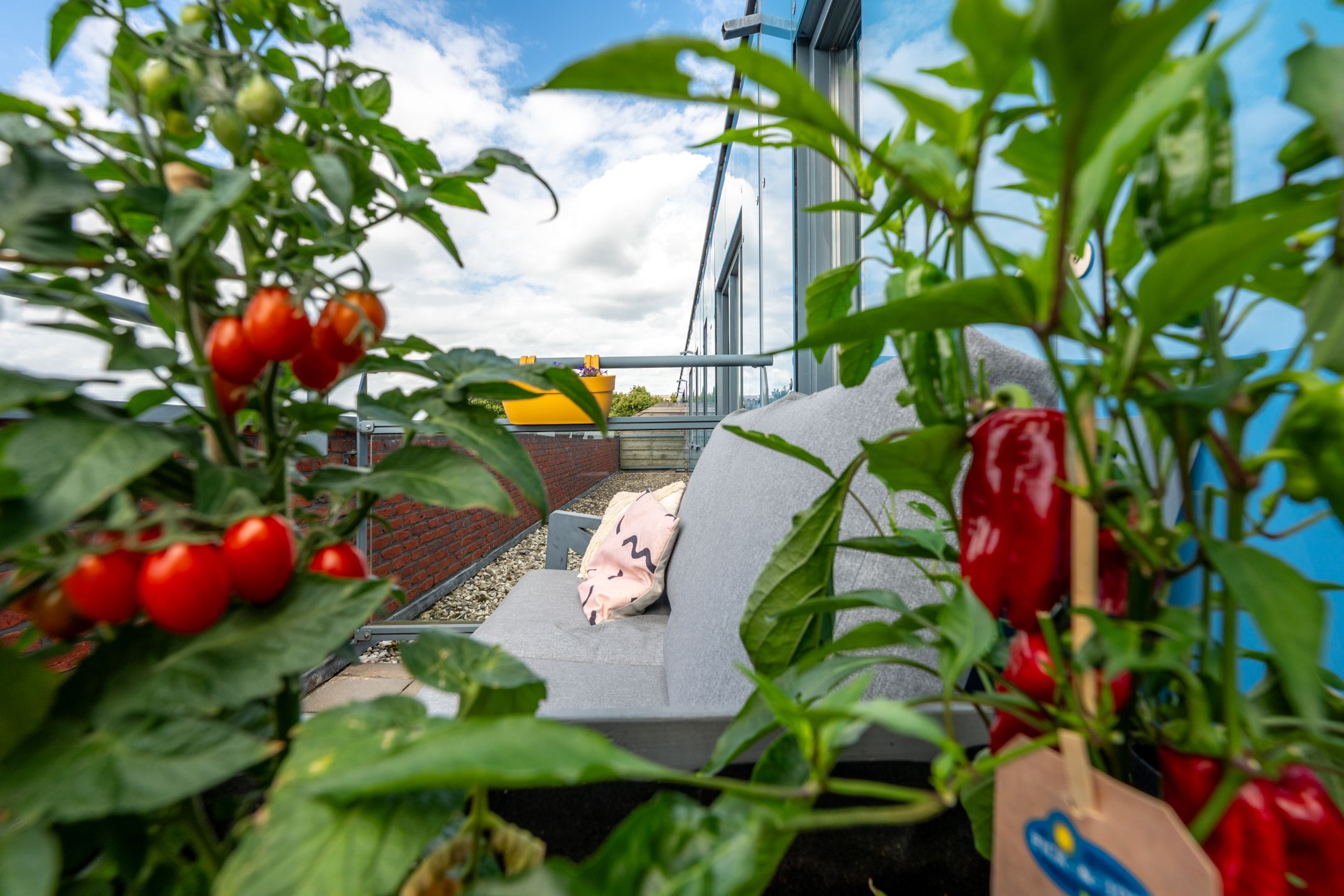 Foto 24 van Daelwijcklaan 226