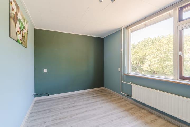 Foto 14 van Uitterlier 158