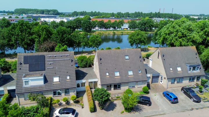 Impalalaan 20 main image