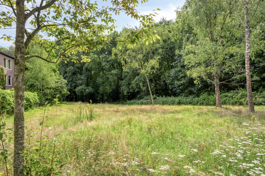 Foto 32 van Surinamelaan 119-B