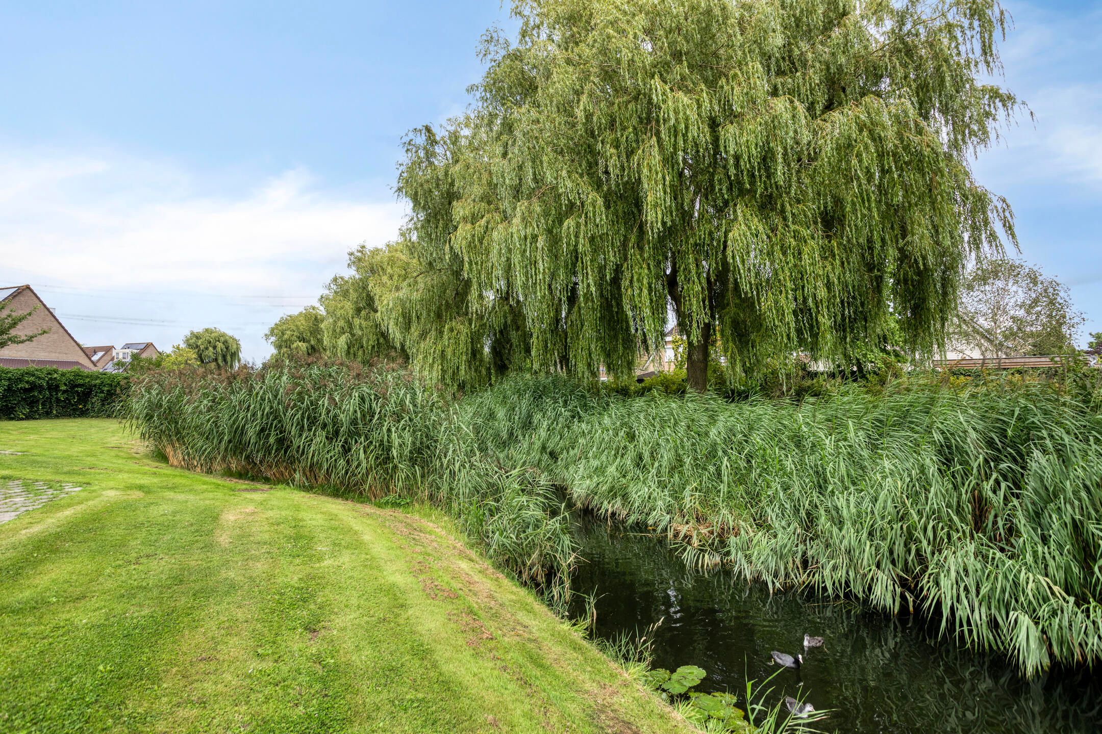 Foto 30 van Kriekenbogerd 22