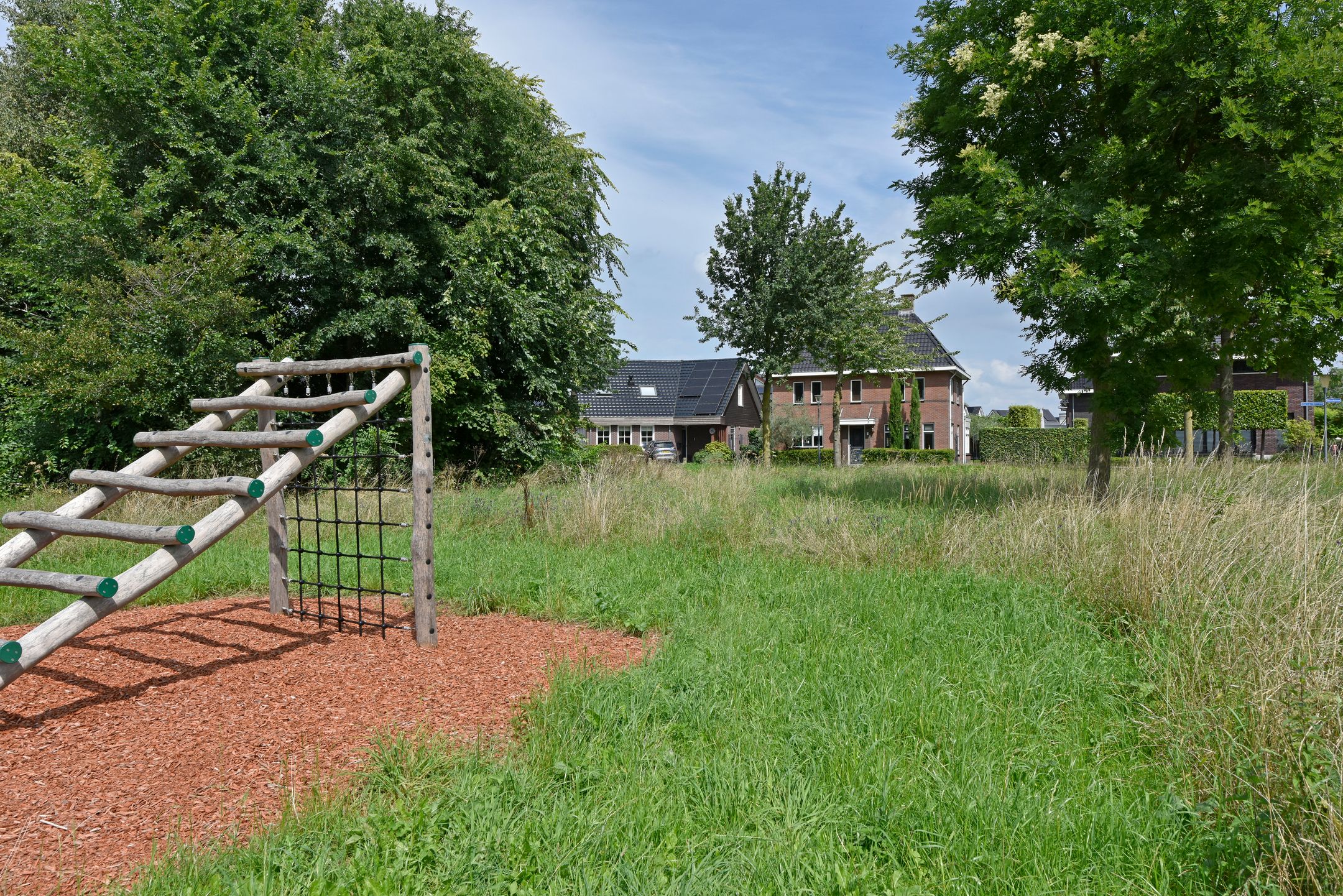 Foto 45 van Dwingelderveld 3