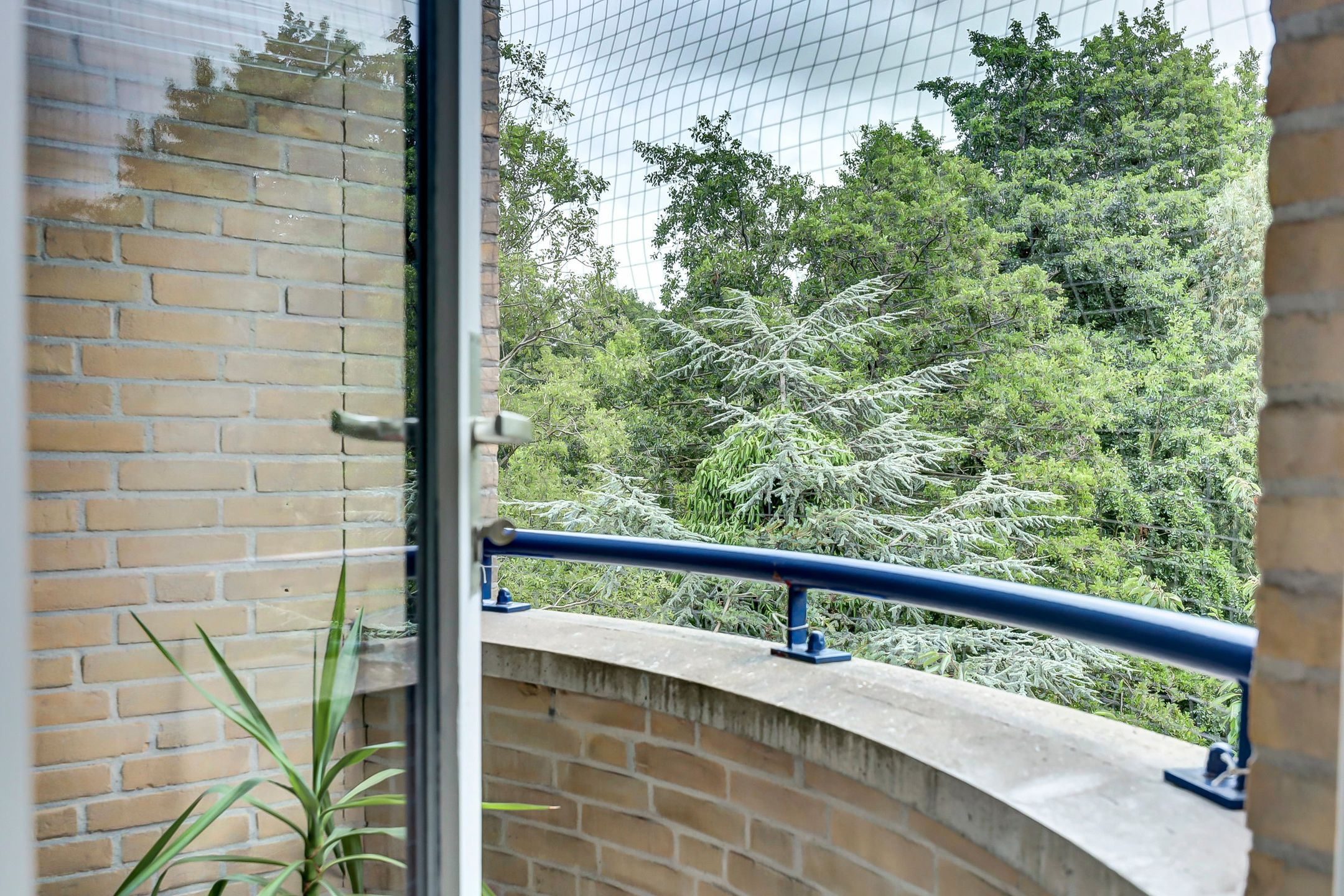 Foto 9 van Margarethaland 291