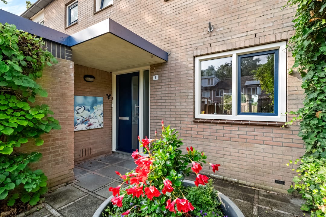 Foto 2 van Paukenpad 5