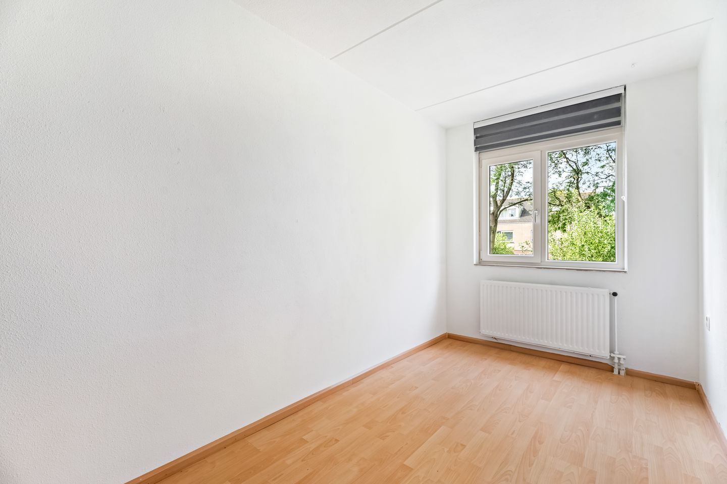 Foto 25 van Paukenpad 5