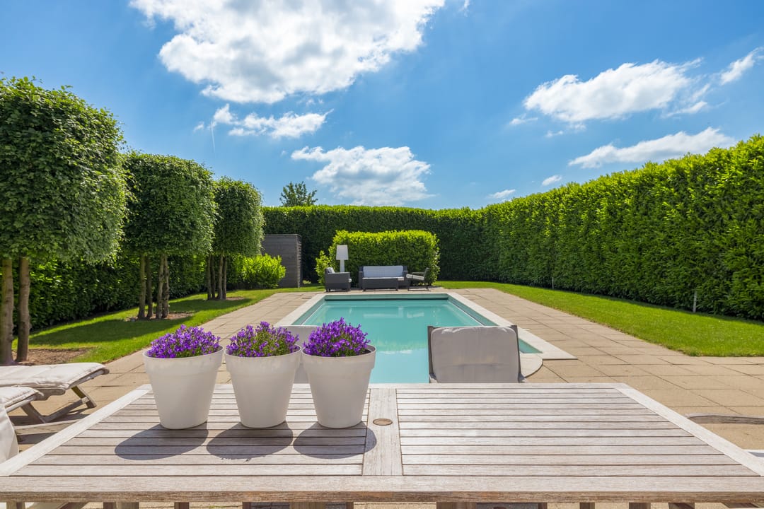 Foto 23 van Voorstraat 113