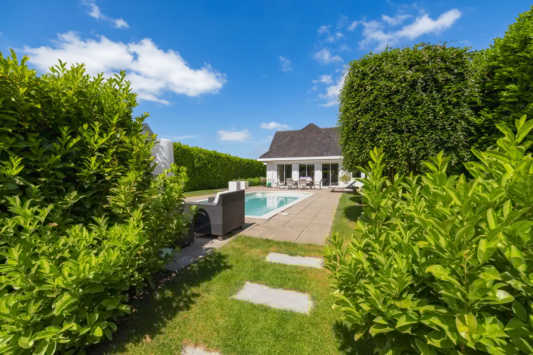 Foto 31 van Voorstraat 113