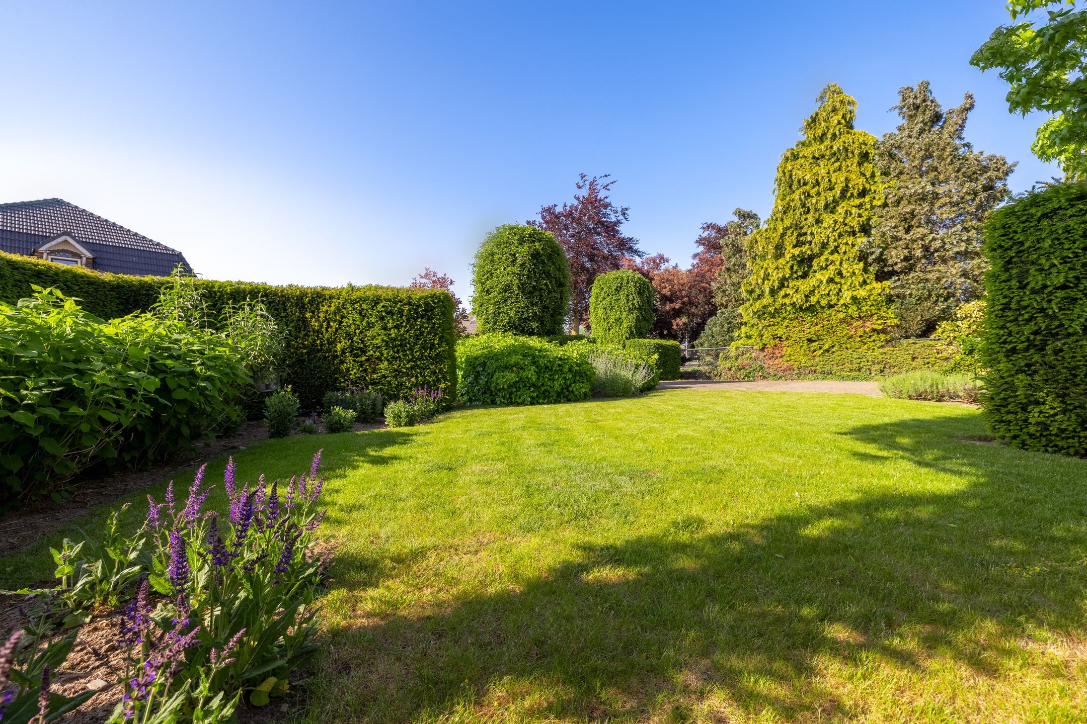 Foto 54 van Voorstraat 113