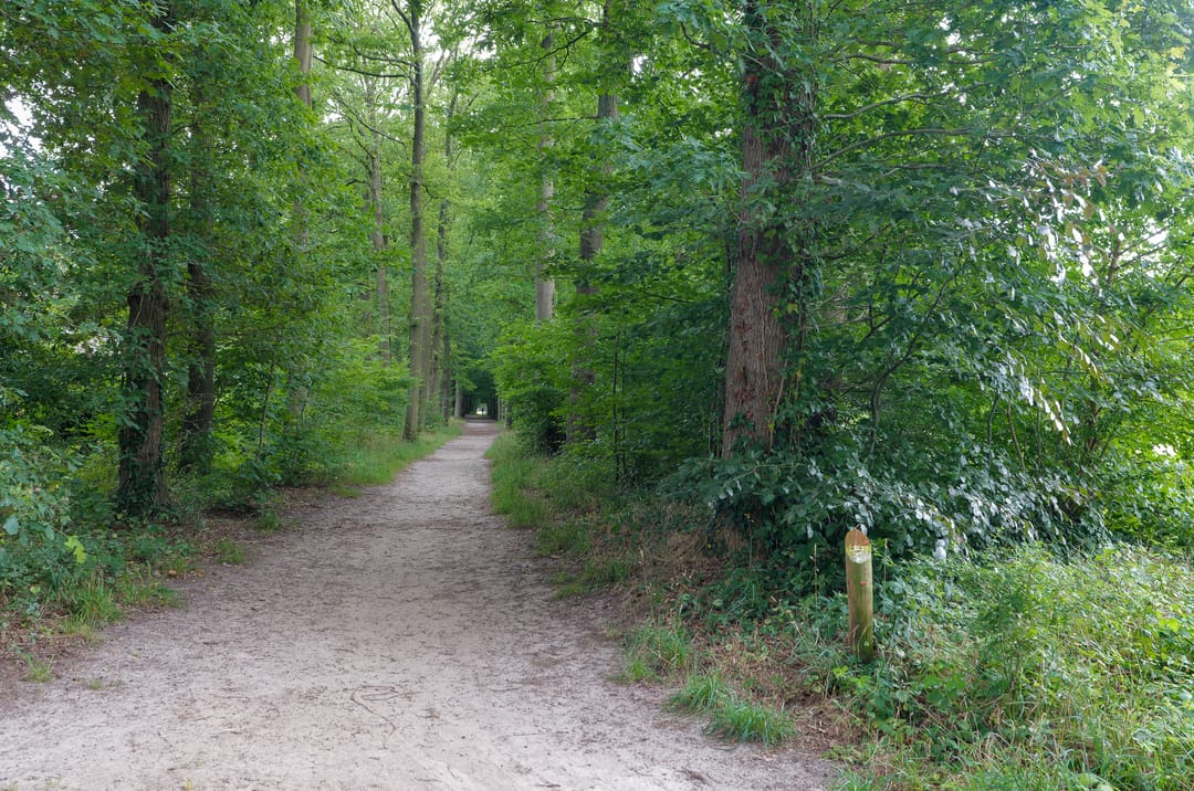 Foto 37 van Platolaan 11