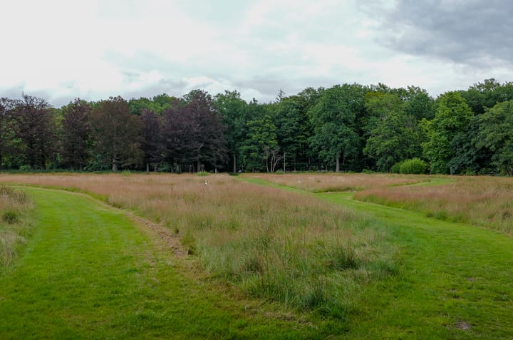 Foto 38 van Platolaan 11