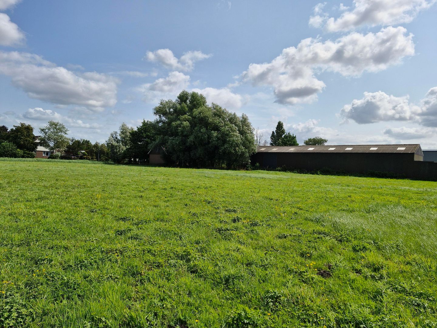 Bekijk foto 5 van Raasdorperweg 60