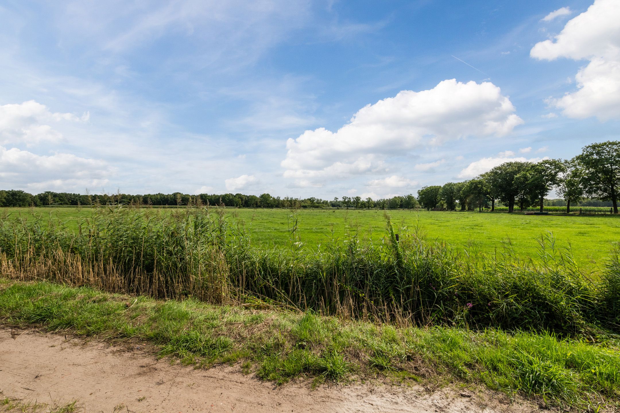 Photo 6 of Sparrenlaan 32