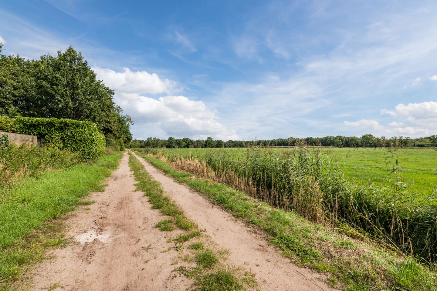 Photo 19 of Sparrenlaan 32