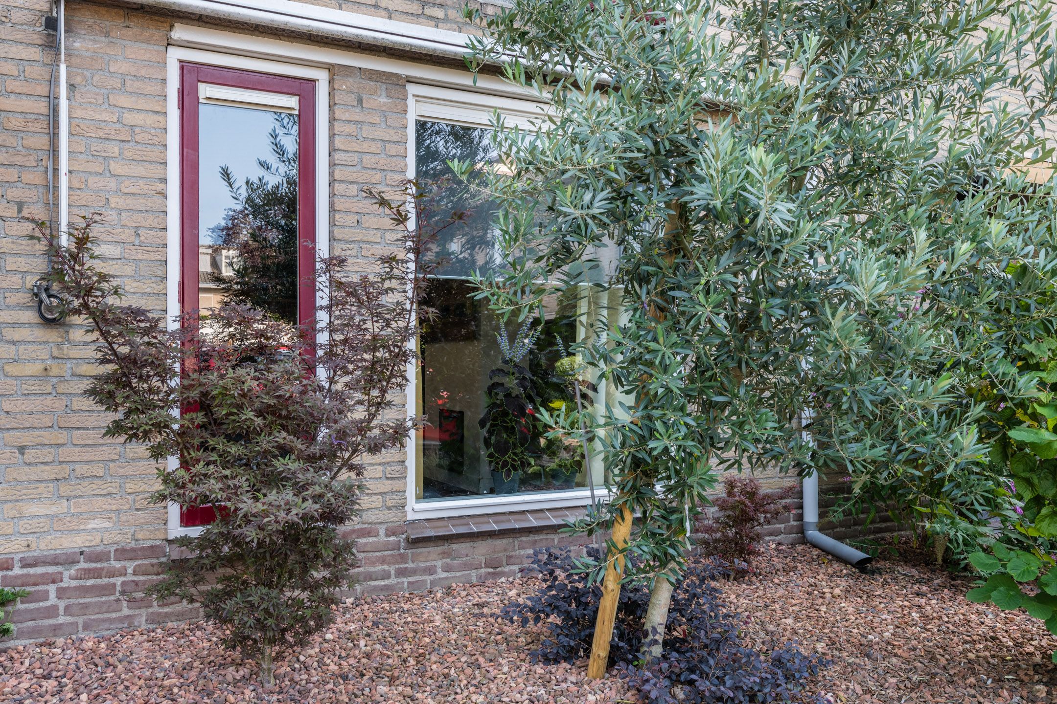 Photo 33 of Sparrenlaan 32