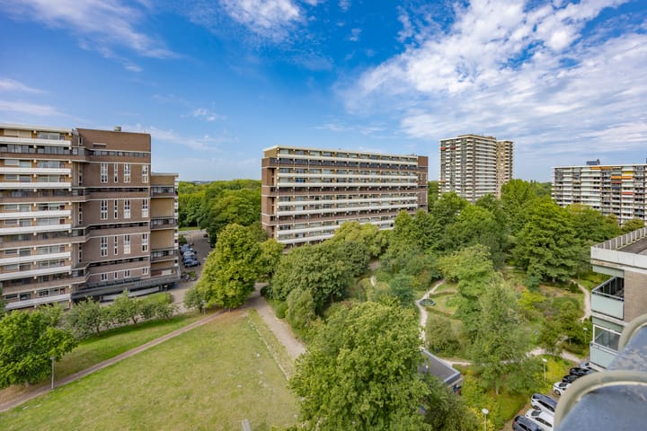 Foto 6 van Steenvoordelaan 354