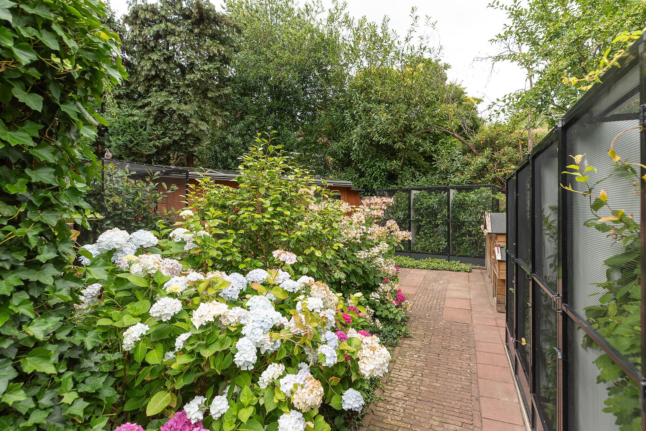 Foto 33 van Van Ostadelaan 52