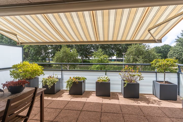 Foto 2 van Peterseliestraat 8