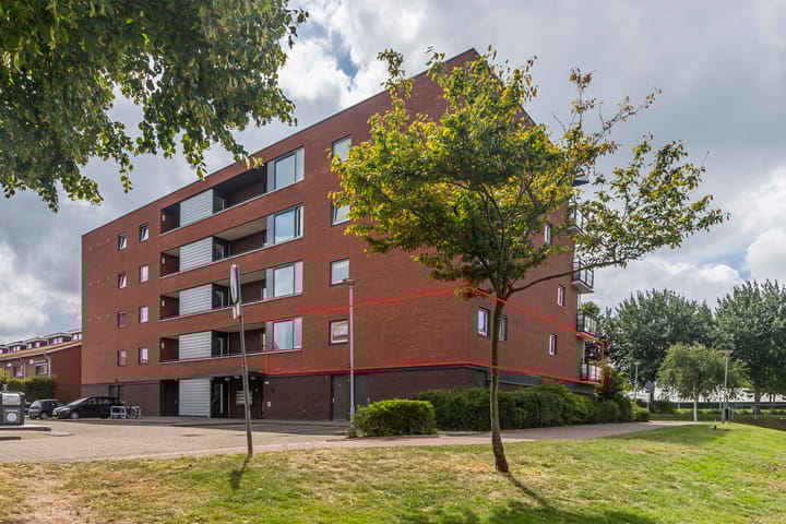 Foto 5 van Peterseliestraat 8