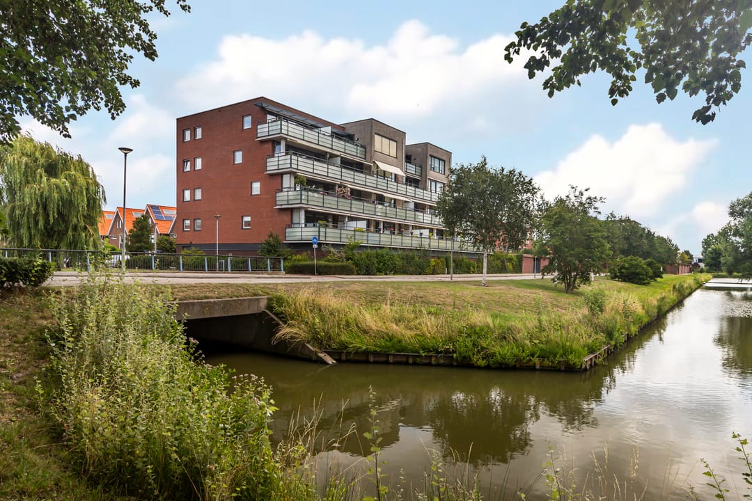 Foto 31 van Peterseliestraat 8