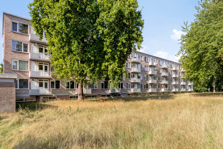 Foto 41 van Europalaan 469