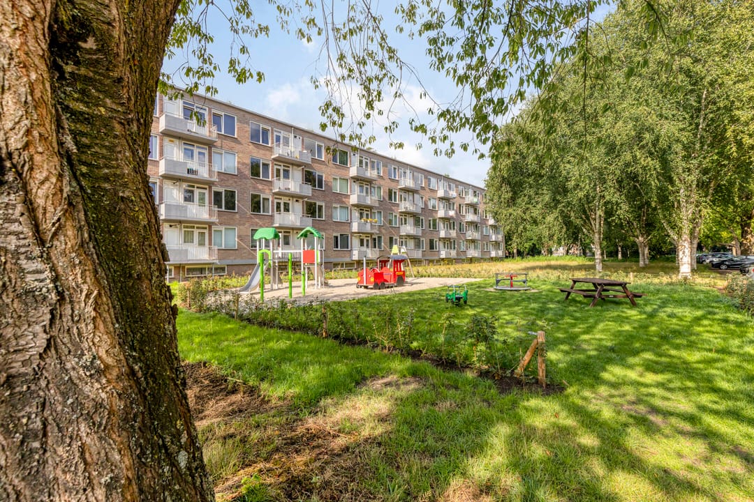 Foto 43 van Europalaan 469