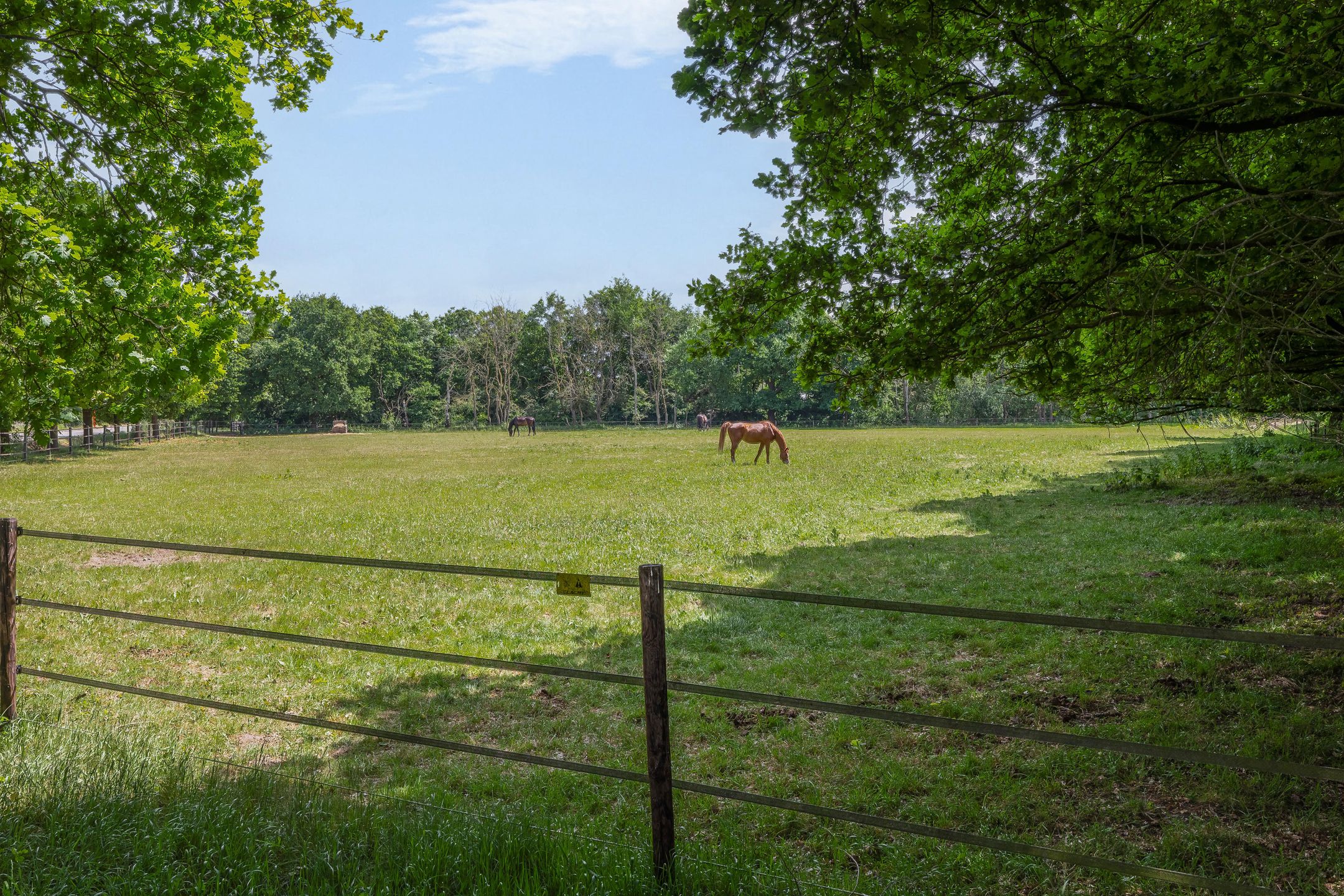 Foto 66 van Spierkesdreef 13