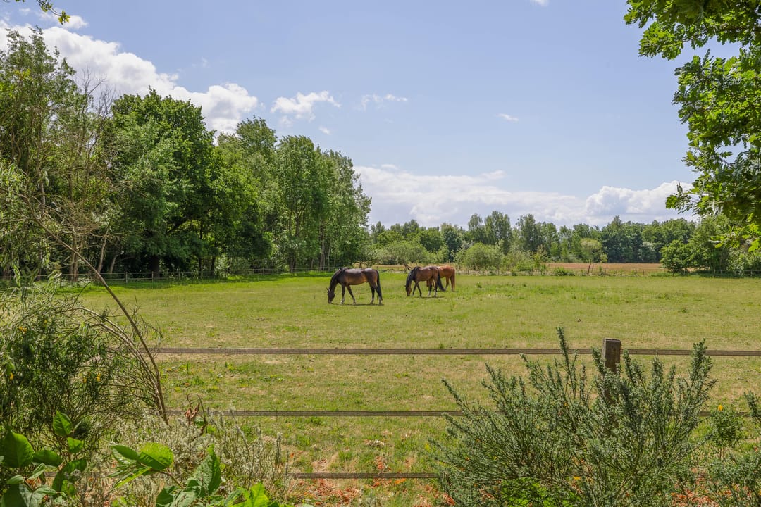 Foto 68 van Spierkesdreef 13