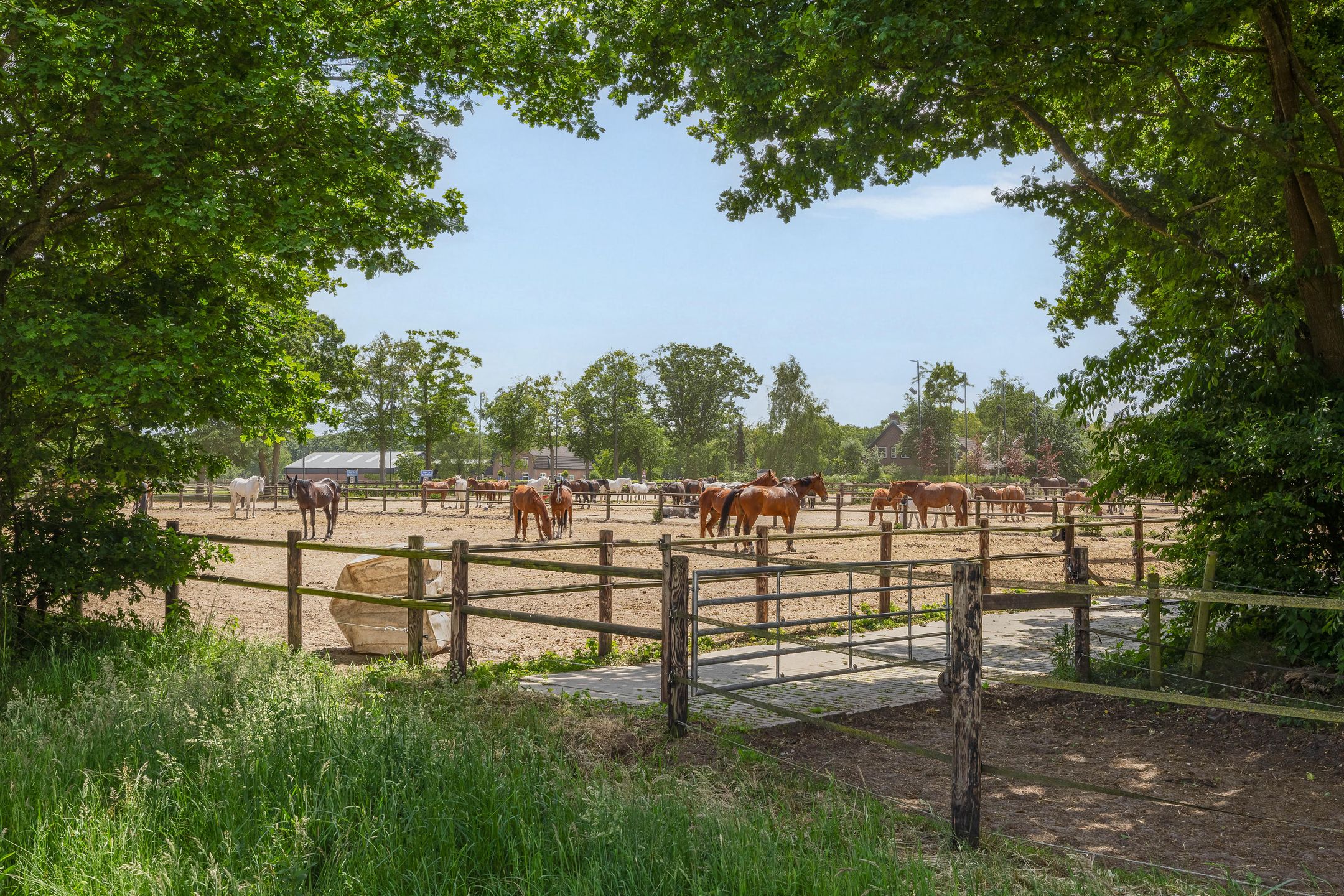 Foto 69 van Spierkesdreef 13